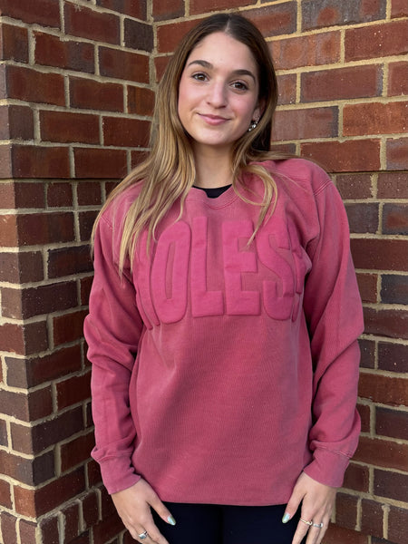 FSU Puff Ink NOLES Sweatshirt