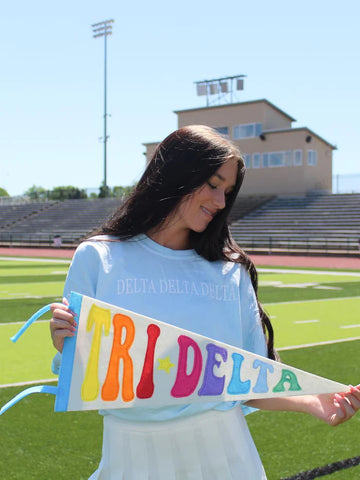 DT - Rainbow Sorority Pennant Flag